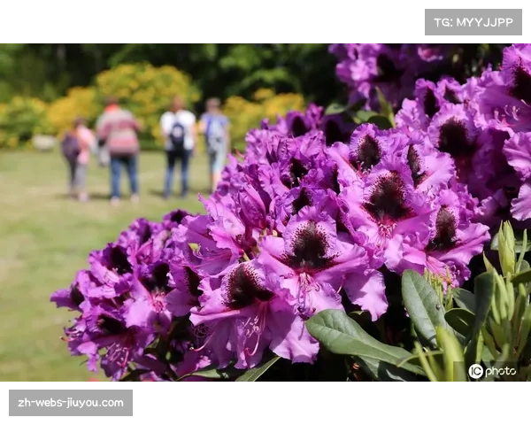 魔鬼队五人入选奥运初始名单 后防新星内梅克已获奥运奖牌